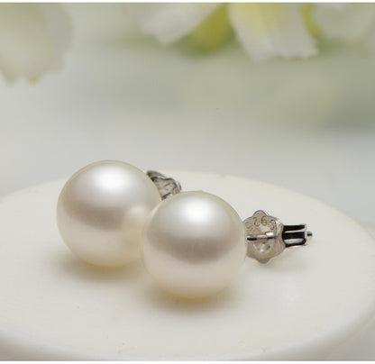 S925 Silver Freshwater Pearl Ear Studs | Gold Silver Anti-Allergy