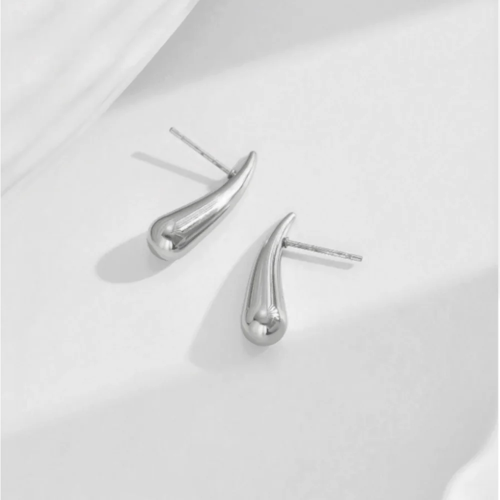Water Drop Chili Stainless Steel Earrings for Women
