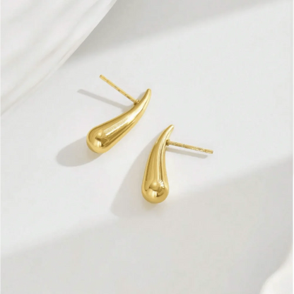 Water Drop Chili Stainless Steel Earrings for Women